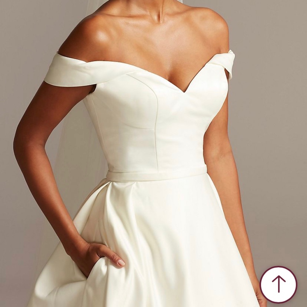 David’s Bridal Wedding Gown Style WG3979 w accessories